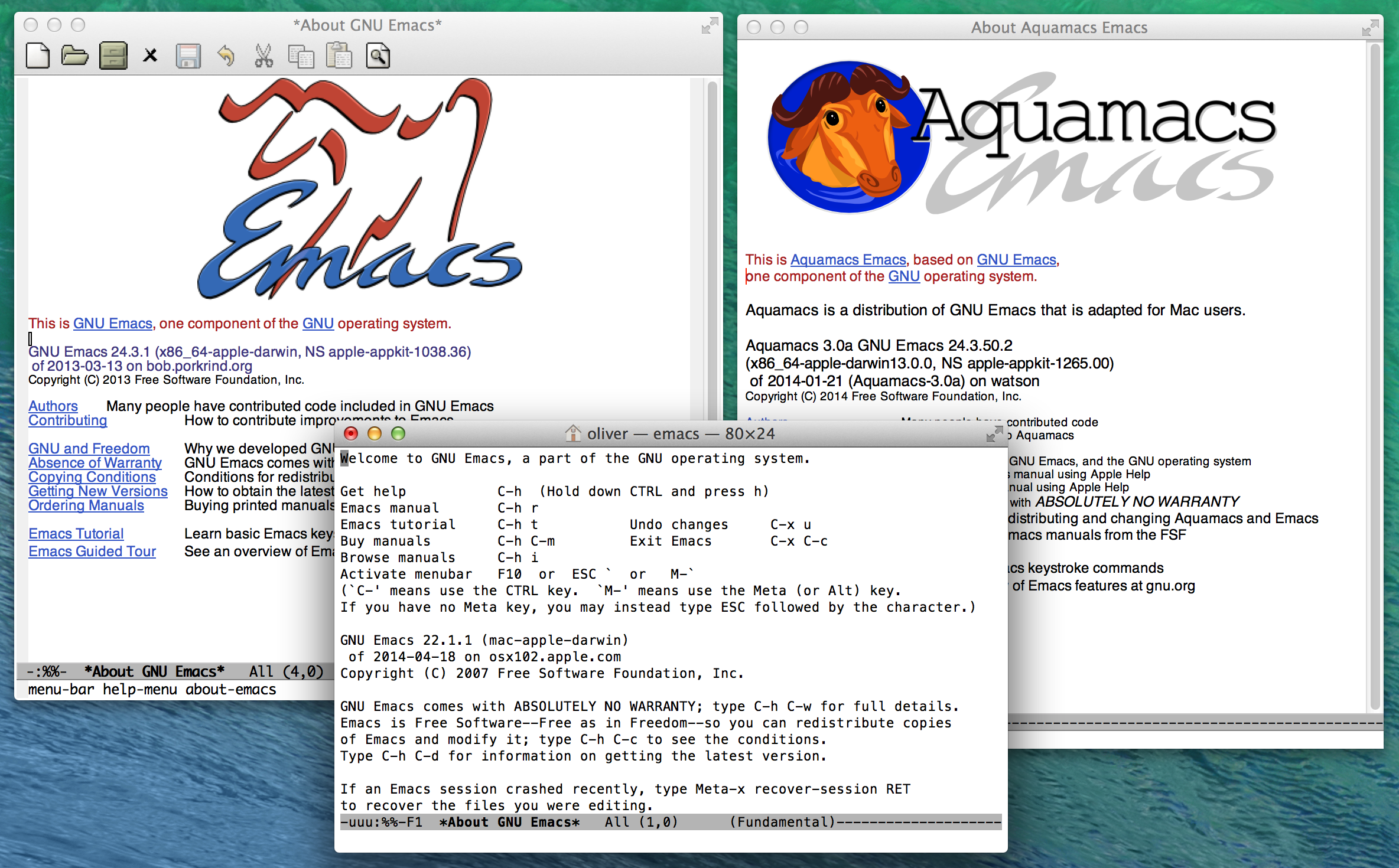 Different Emacs Versions on OS X.
